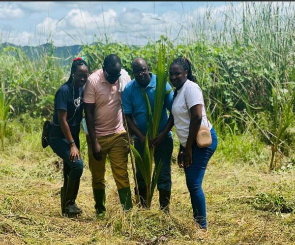 2024 WORLD ENVIRONMENTAL DAY (WED) CELEBRATION