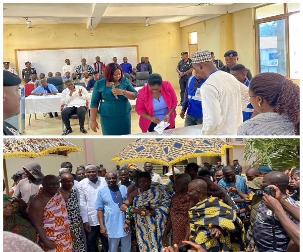 DISTRICT CHIEF EXECUTIVE ELECTIONS 