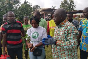 GREEN GHANA DAY