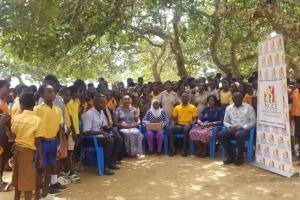CONSOLIDATING CONSTITUTIONAL DEMOCRACY