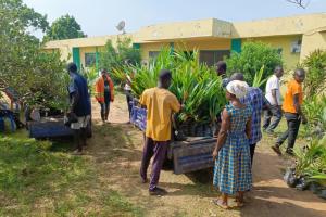 MINERALS COMMISSION ALTERNATIVE LIVELIHOOD PROJECT