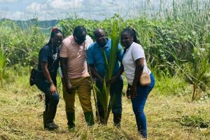 2024 WORLD ENVIRONMENTAL DAY (WED) CELEBRATION
