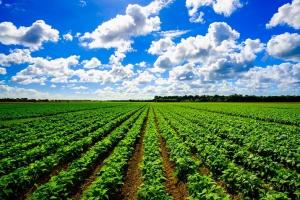 agric